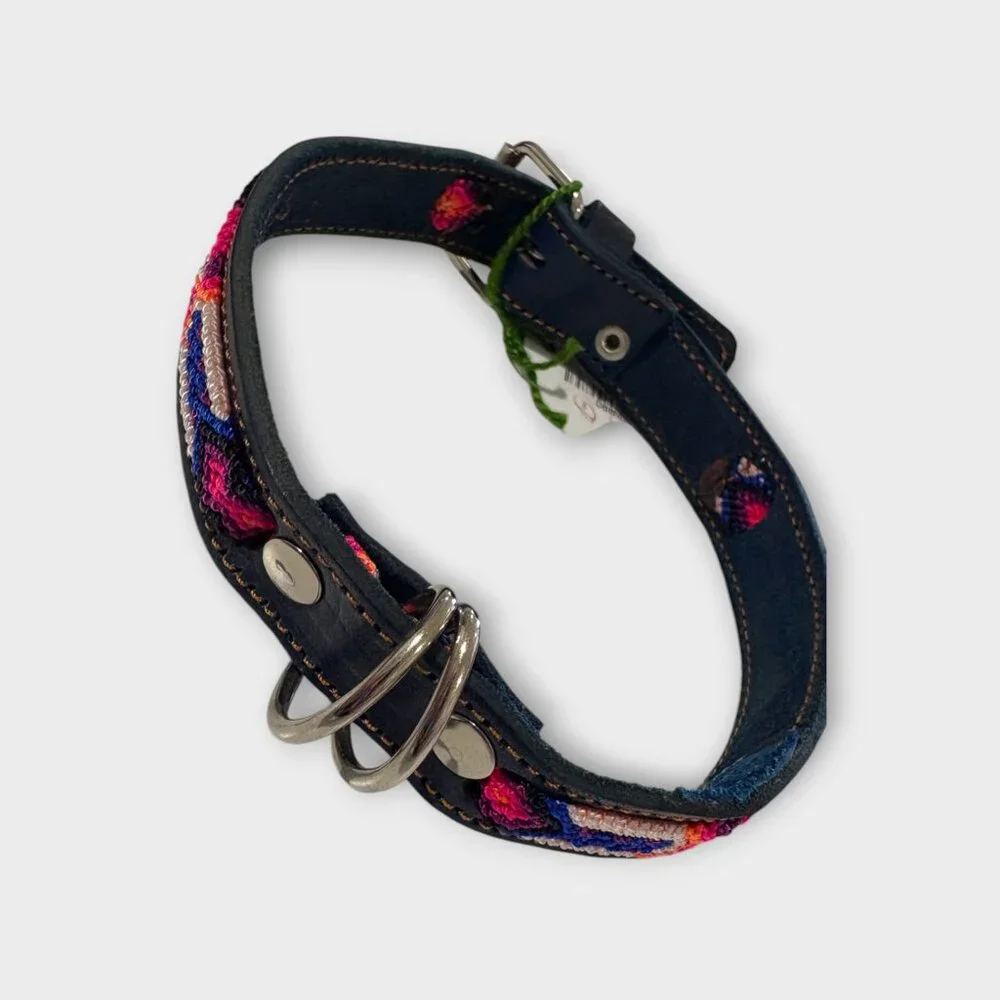 Blue Embroidered Dog Collar with Pink & Orange Accents